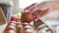 Salmonella Outbreak Linked to Imported Eggs Affects Hundreds