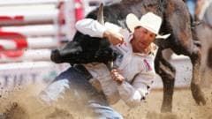 Calgary Stampede Highlights Alberta's Separation Debate Ahead of October Vote