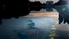 National Park Service Reports Damage to Reflecting Pool Liner