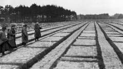 German Prosecutors Investigate 105-Year-Old for WWII Camp Crimes