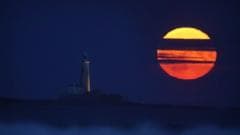 July's Buck Moon to Illuminate the Night Sky Next Week