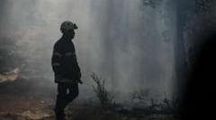 Wildfires Resurge in Gironde as France Prepares for New 40°C Heatwave