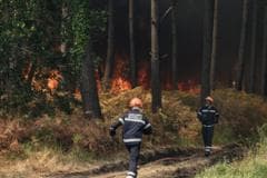 Firefighters in France Combat Wildfires Amid Extreme 40C Heat