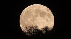 Autumn Brings Five Notable Night Sky Events to Observe