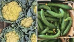 Heatwaves Lead to Increased Availability of Imperfect Vegetables in Britain