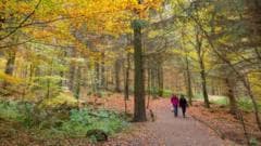 UK Braces for Coldest Night of Autumn with First Frost Expected