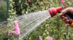Hosepipe Ban Imposed on Over Eight Million Households Across the Country