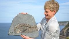 Mountaineer Turns Fossil Hunter After Near-Death Experience, Finds Rare 'Sea Dragon'