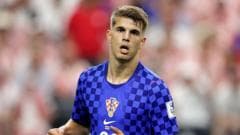 Brighton secures Luka Vuskovic from Tottenham for record £46 million fee