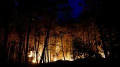 Firefighting Planes Deployed to Combat Unprecedented Wildfires Near Paris