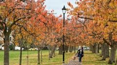Autumn Equinox 2026: Date and Significance in the Northern Hemisphere