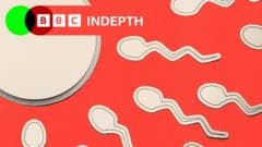 Addressing the Lack of Attention on Male Infertility Issues
