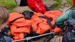 Labrador Rescued on Ben Nevis After Suspected Cannabis Ingestion