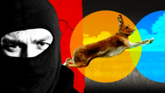 Illegal Hare Hunts Linked to Violence and Animal Cruelty, Reports Reveal
