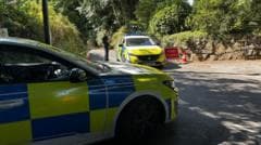 Investigation into Widdecombe's death sparks renewed discussion on politician safety