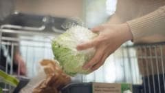 Cyclospora Outbreak Affects Nine States, Health Officials Report