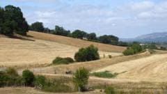 Wildfires and Severe Drought Conditions Affect Parts of Wales
