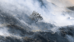 Wildfire at Tintwistle Moor Continues to Burn After One Month