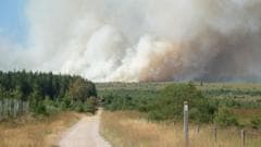 Firefighters Combat Major Wildfire in Belgian Nature Reserve
