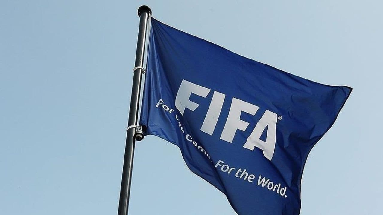 FIFA, Dünya Kupası finalindeki olaylar için ağır cezalar verdi