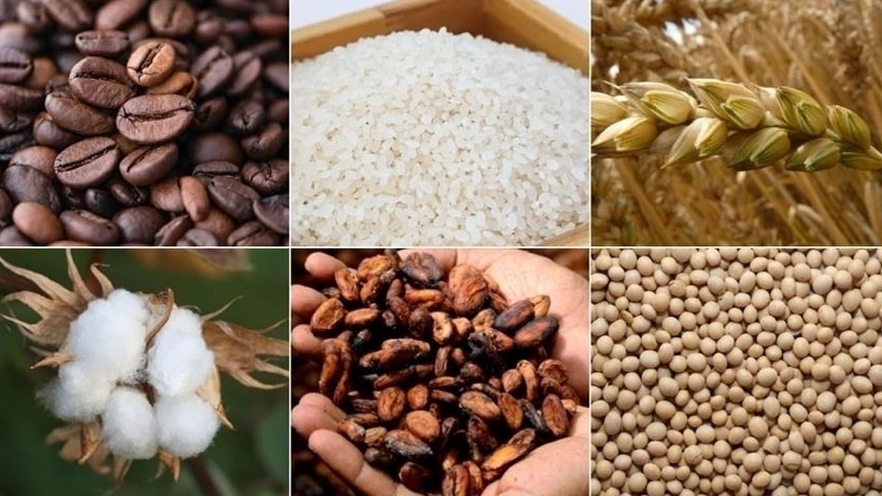 Emtia piyasalarında bu hafta İran ve Fed etkili oldu