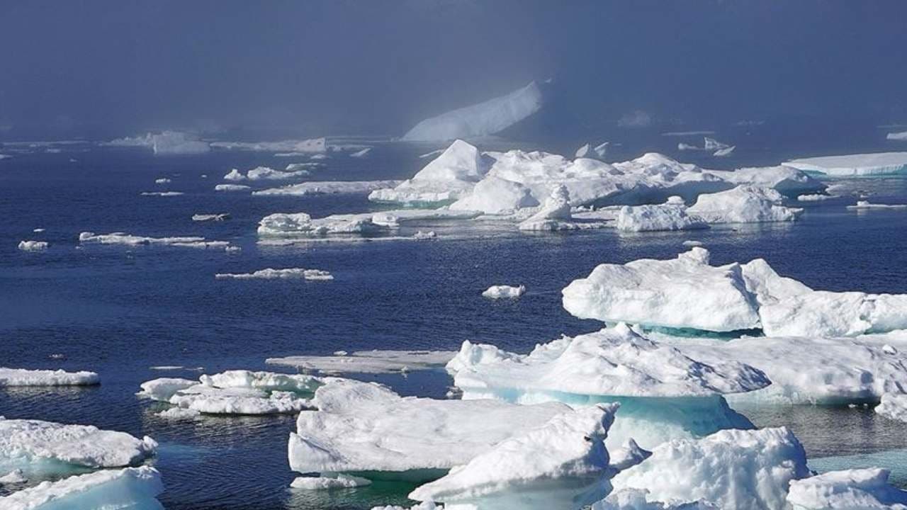 Trump'ın Grönland için hedef gösterdiği Çin'in Ada'ya ilgisi düşük