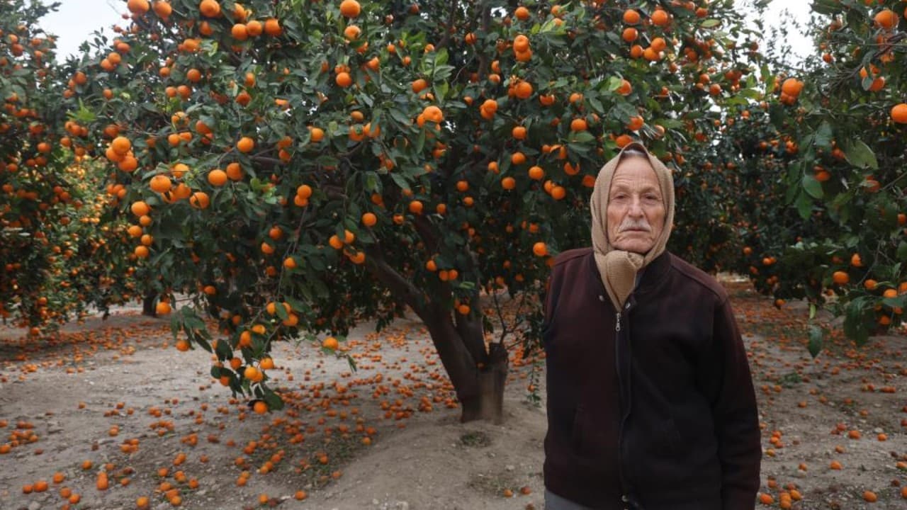 Çiftçi 'ücretsiz' diyerek vatandaşı çağırdı: Yüzüne bakan olmadı