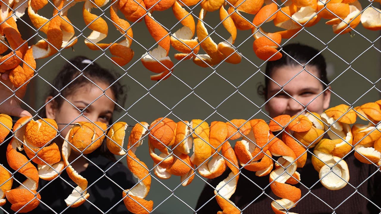 Dalında 20 TL, kabuğunda 65 TL: Kozanlı kadınlar atığı kazanca çeviriyor