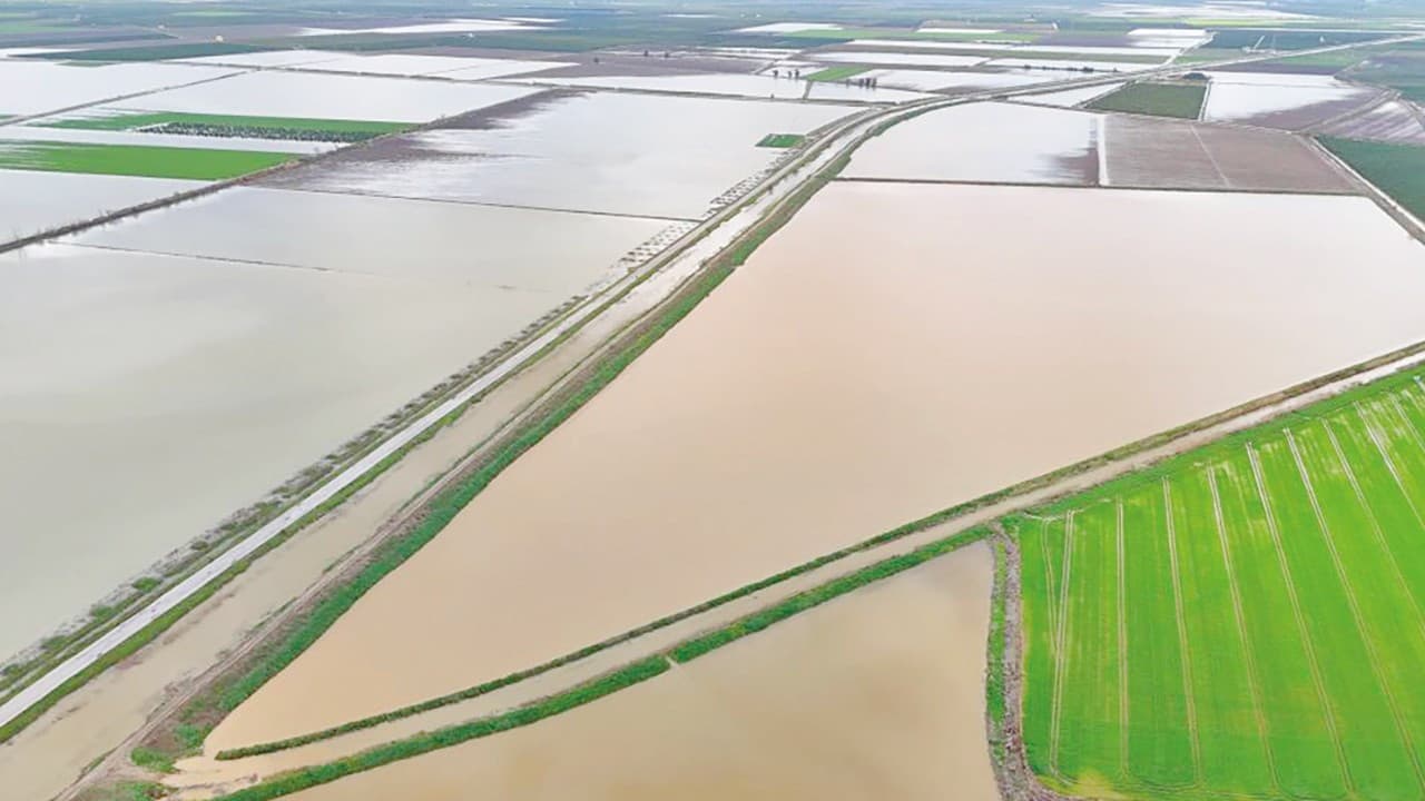 Çukurova’da 20 bin dönüm tarım arazisi sular altında