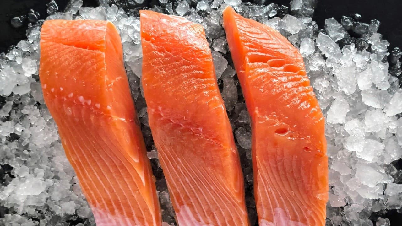 Türk somonu ihracatında güçlü artış: İlk çeyrekte 91 milyon dolar aşıldı