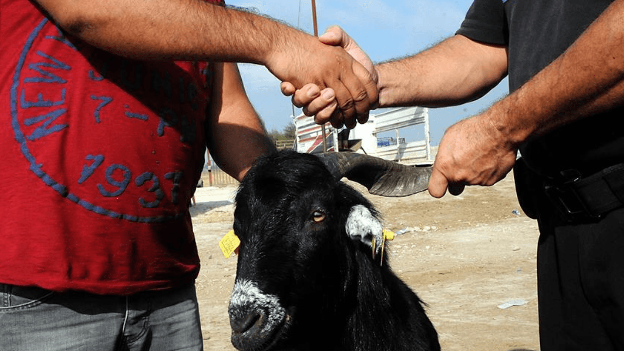 Kurban Bayramı tatil süresi uzatıldı mı? Bayram tatili 9 gün oldu mu?