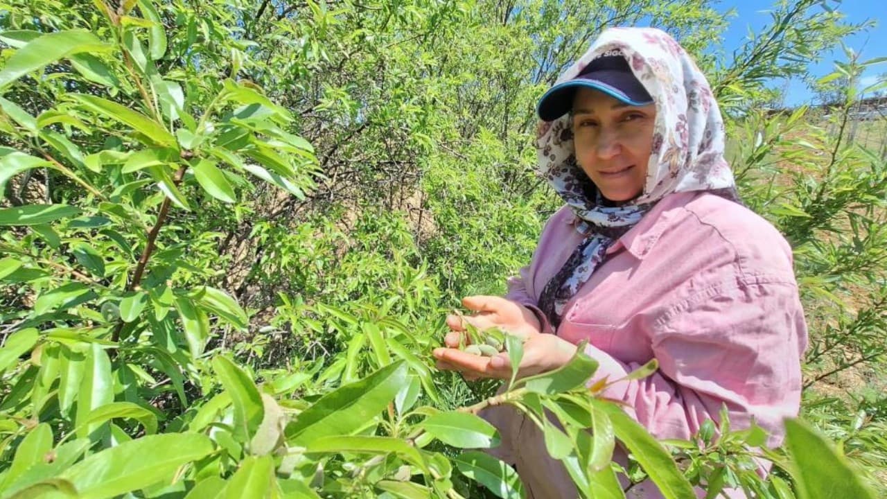 Baharın habercisi tezgaha indi: Fiyatı cep yaksa da üretici memnun