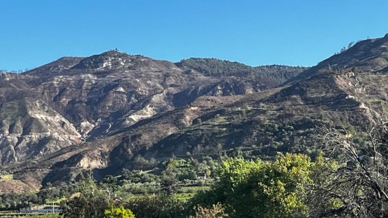 Buldan’daki yangının izleri silinmedi: Dağlar hâlâ siyaha bürünmüş durumda