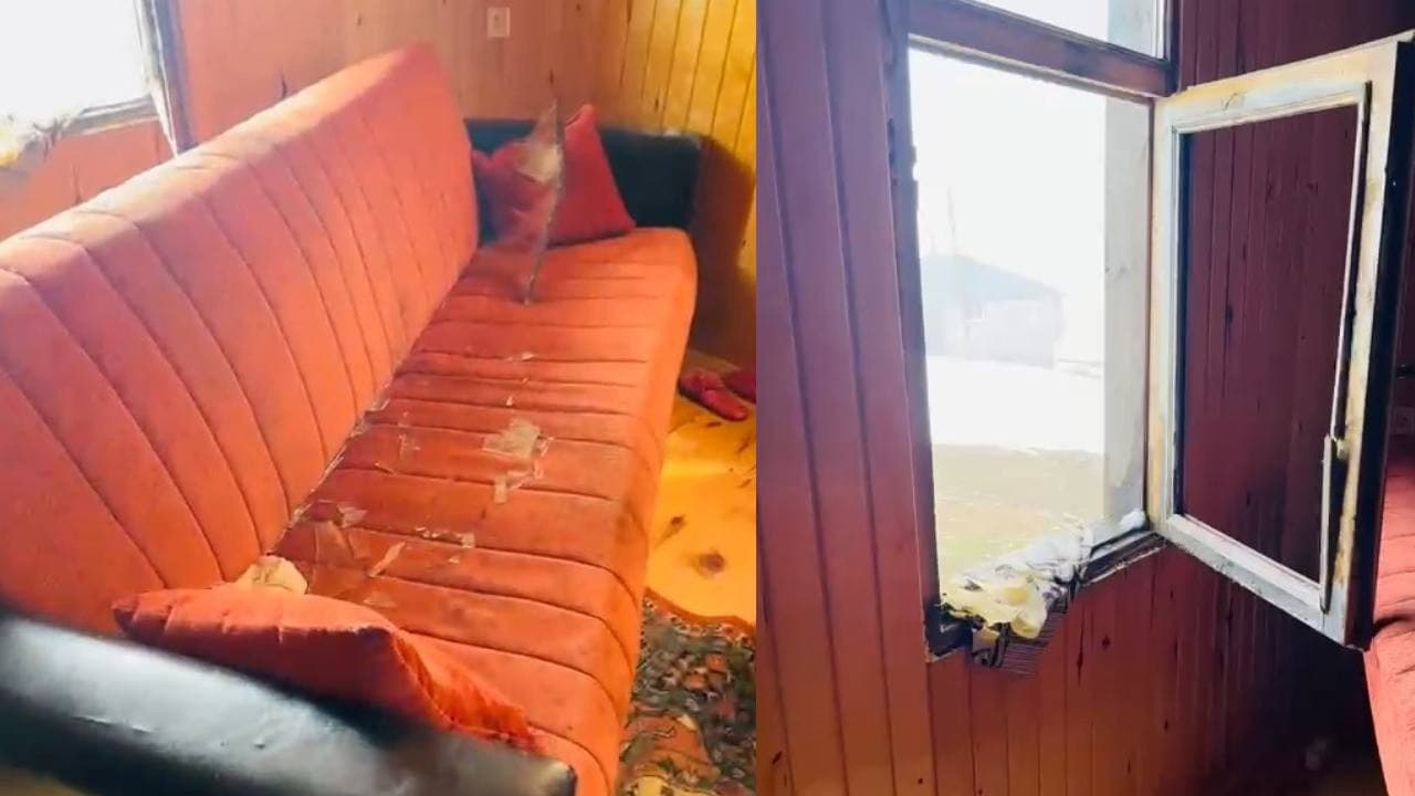 Köyü ayılar bastı, ortalık savaş alanına döndü