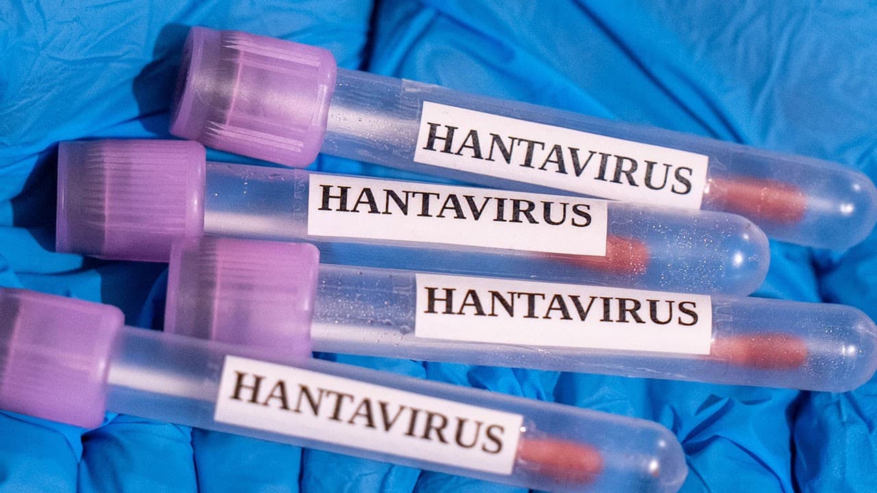DSÖ: Hantavirüs vakaları küresel sağlık riski taşımıyor