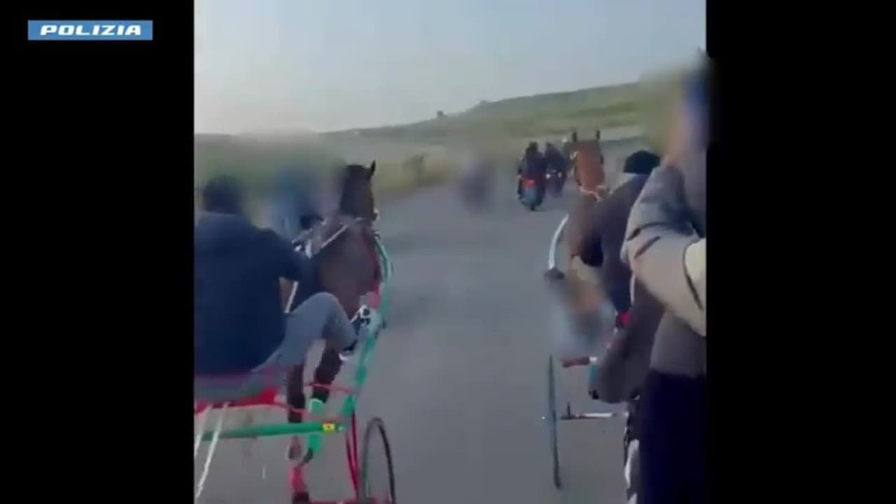 İtalya'da yasa dışı at yarışı görüntüleri polis soruşturmasına neden oldu