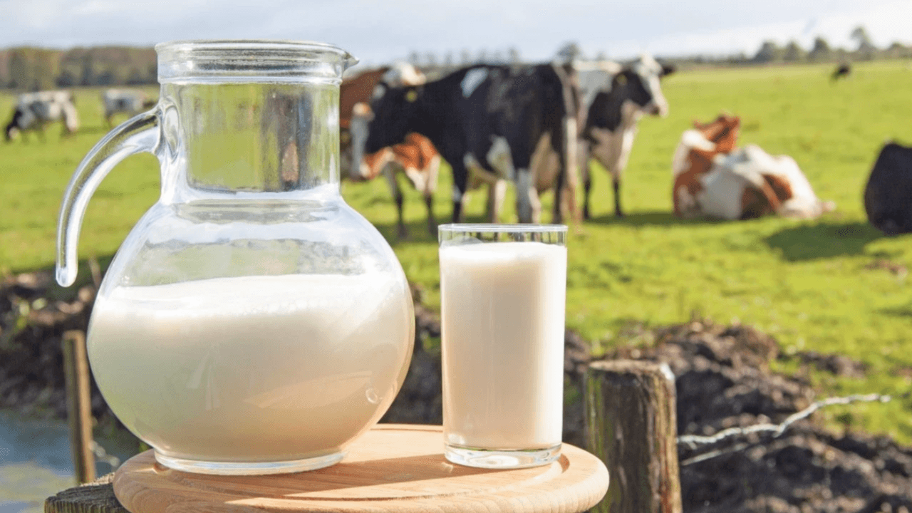 Mart ayında süt üretimi düştü, ayran ve kefir üretimi arttı