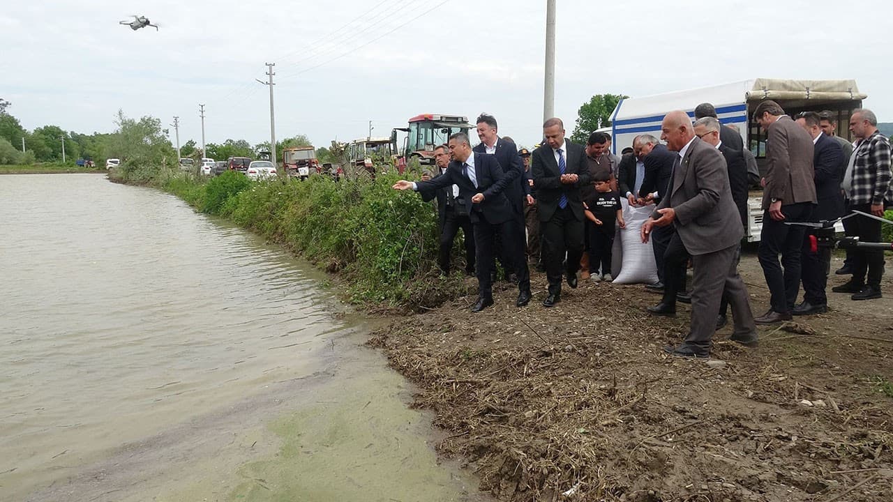 Bafra Ovası'nda çeltik ekimi başladı, verim 800 kilogram
