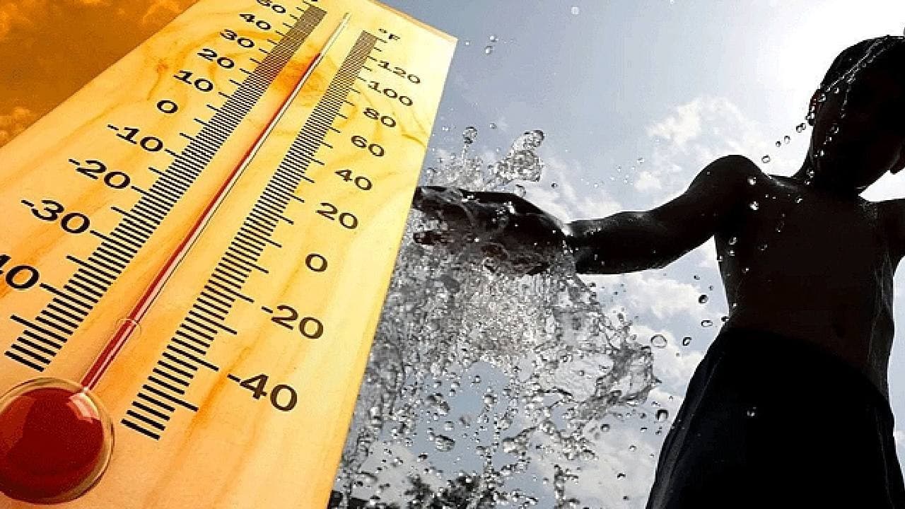WMO El Nino'nun etkilerini haziranda artıracağını duyurdu