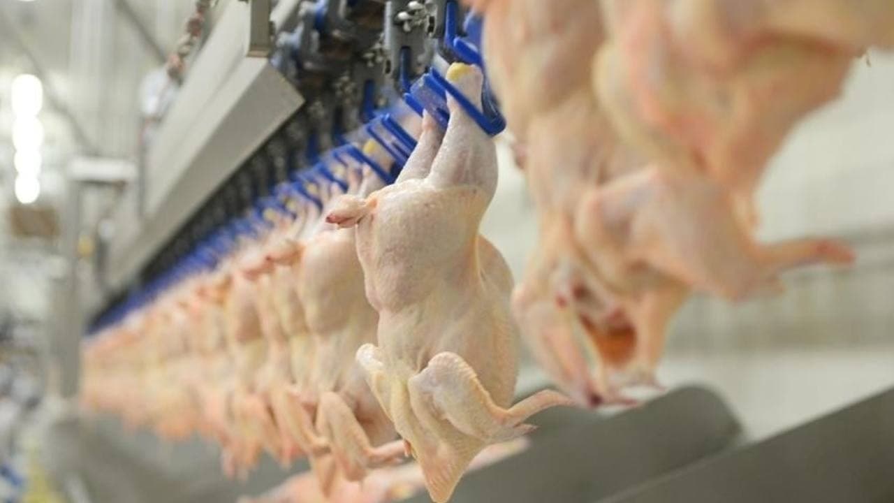 Beyaz et sektörüne denetim: 13 şirkete kayyum atandı