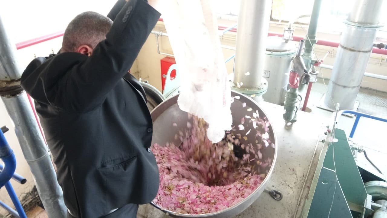 Isparta'da 4 ton gülden 1 kilogram gül yağı elde ediliyor