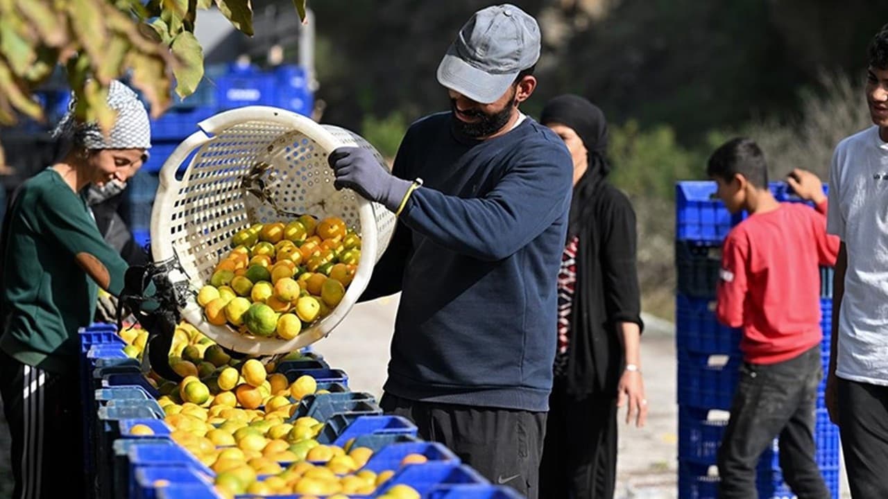 Tarım ve gıda dış ticaret fazlası yüzde 74 azaldı