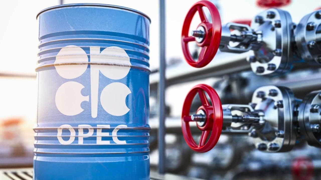 OPEC, 2050'de petrol talebinin artacağını açıkladı