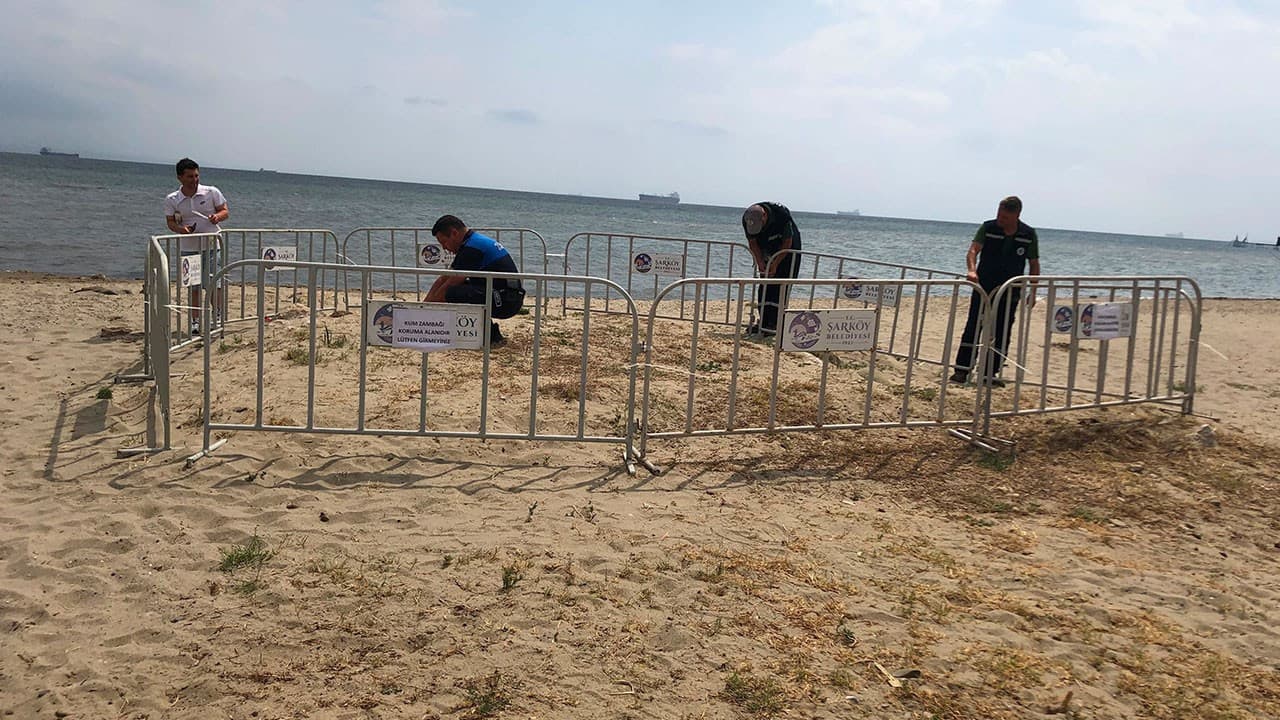 Kum zambakları koruma altına alındı, ceza 699 bin lira