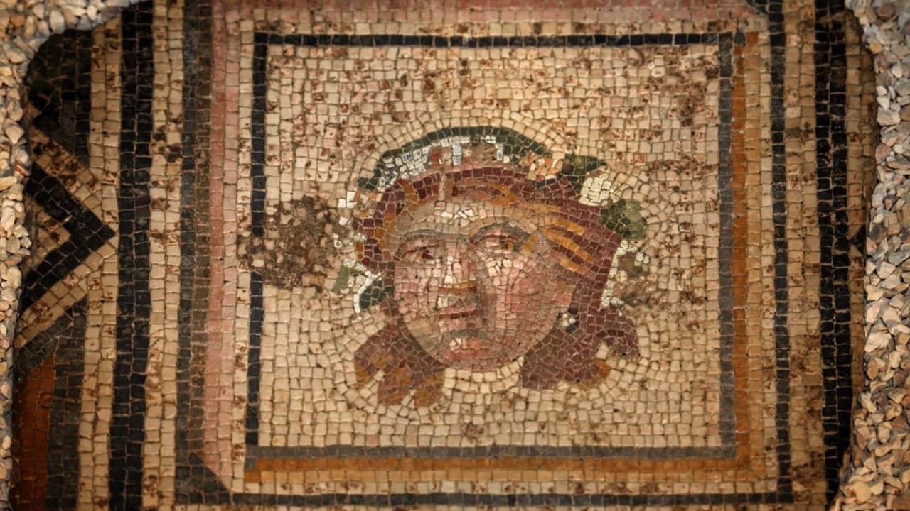 ABD'den iade edilen 13'üncü Zeugma mozaik paneli Türkiye'ye döndü