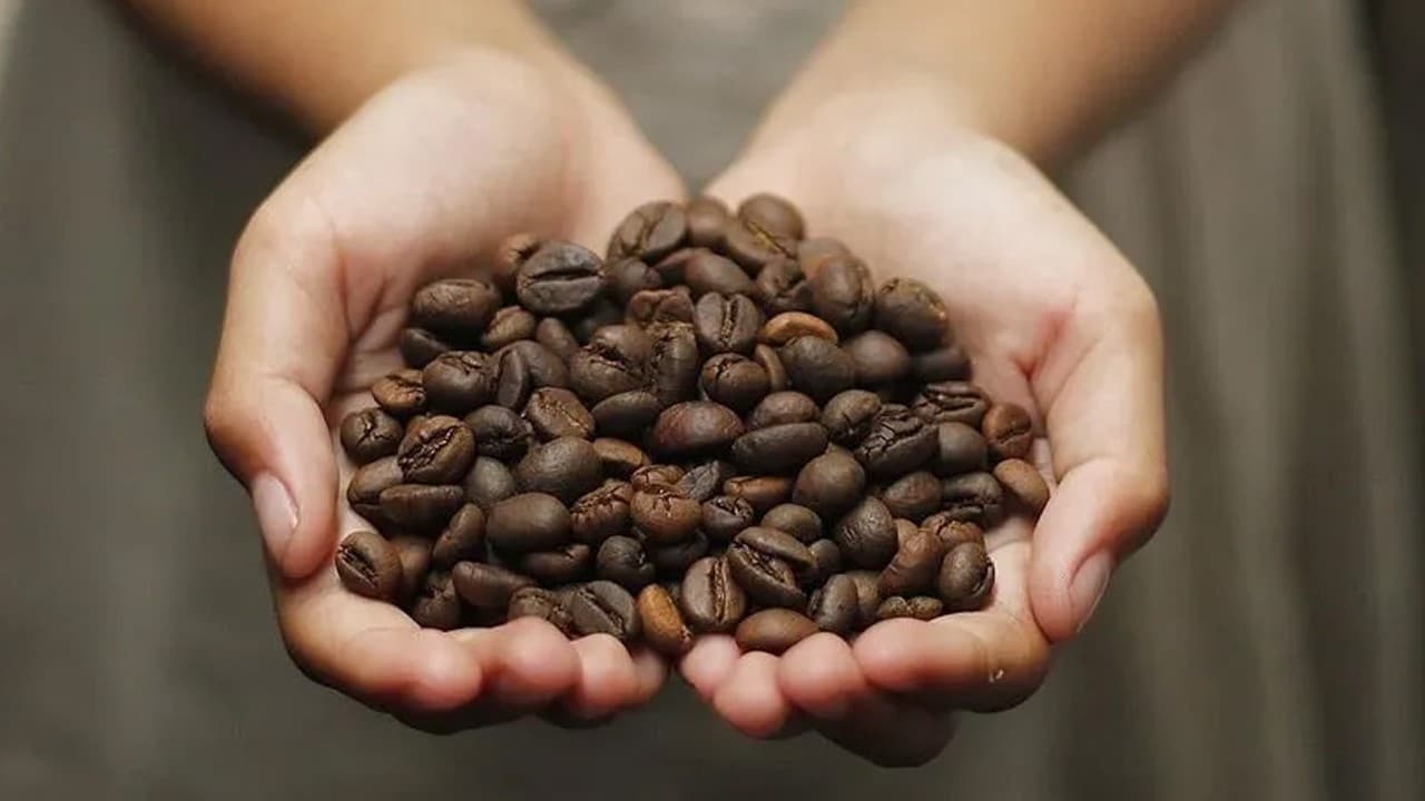 Kahve tüketimi kişi başına 2,5 kilograma ulaştı