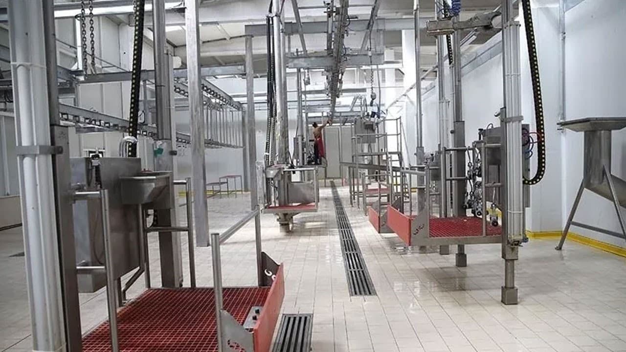 Kesimhanelerde kamera uygulaması 2027'de başlayacak