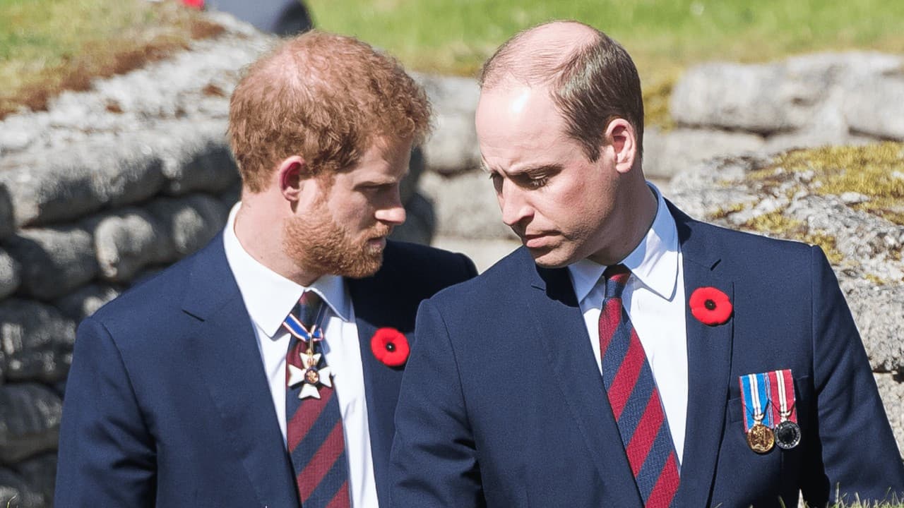 Prens Harry, Kral William tahta çıkınca destek alamayacak