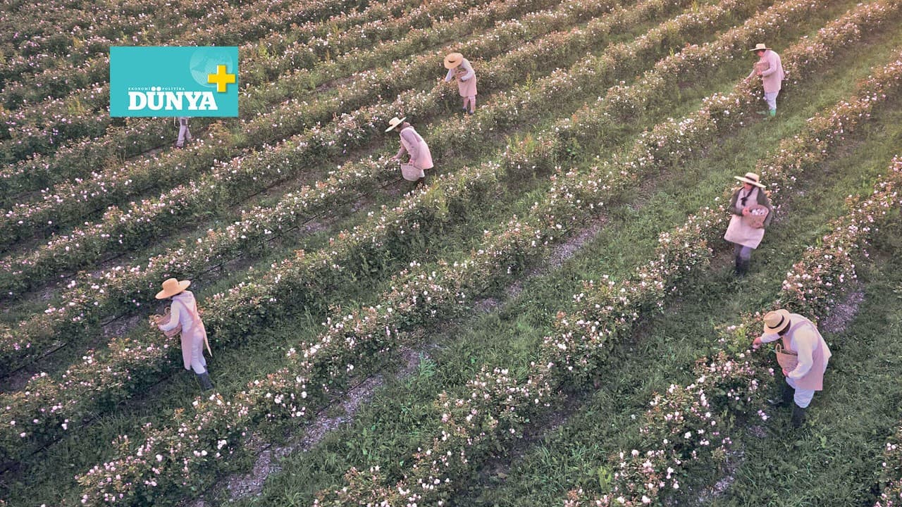 Lüks markalar toprak yatırımı yapıyor