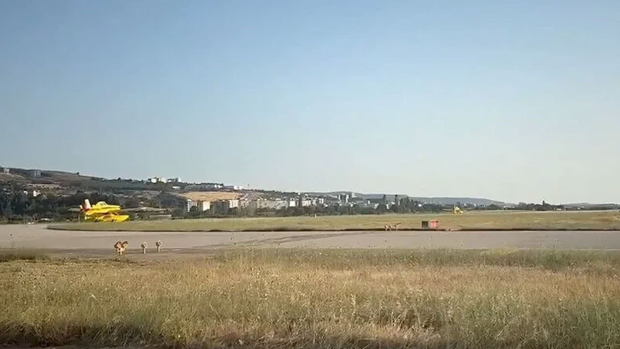 Fransa'ya iki yangın söndürme uçağı gönderildi